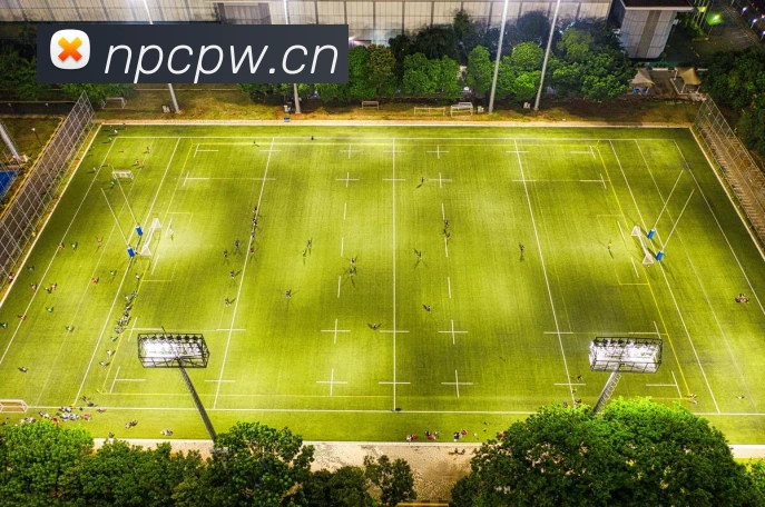 多媒体互动体验